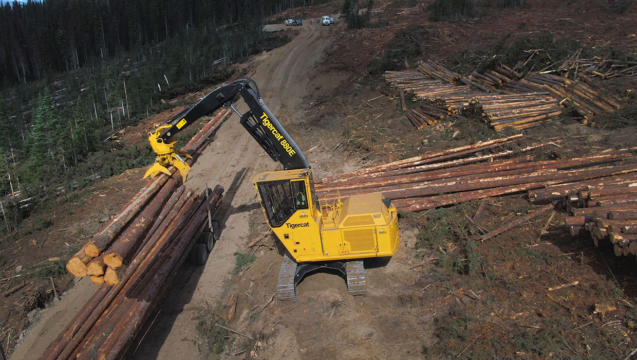 Image of a Mackolines Machines & Hire 880E logger working in the field