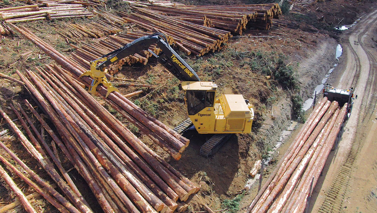 Image of a Mackolines Machines & Hire 880E logger working in the field