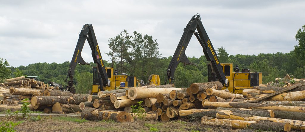 Two Mackolines Machines & Hire 250B loaders stationed behind a pile of large logs. 