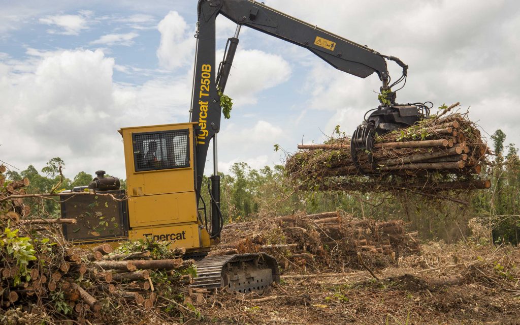 The T250B is equipped with a large capacity grapple saw. It bucks the logs to six metres and stacks the tops in a separate row. It is a very simple operation with no debranching, no debarking and no waste. The tops are transported to the mill as well for fuel.