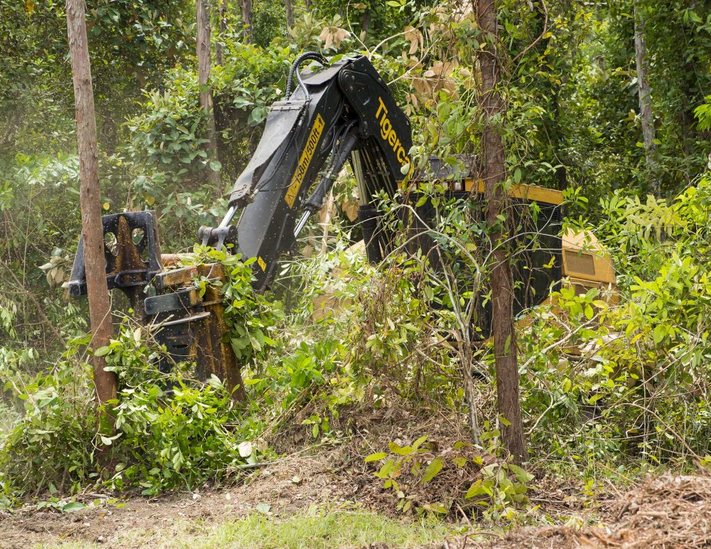 The feller buncher is in constant battle with thick vines and underbrush.