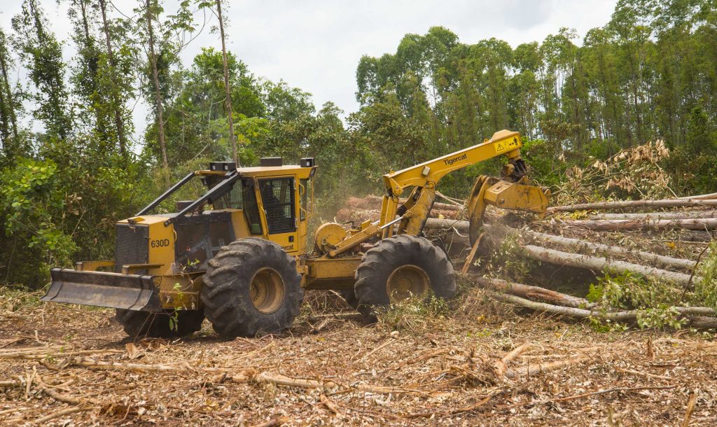 Proteak’s 630D skidder decking a bunch. On the short distance skids, operator Geraldo Monzon makes full use of Turnaround® as he shuttles back and forth from the block to the deck.