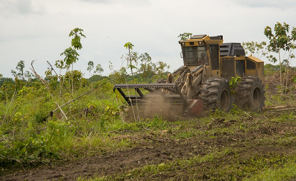 A Mackolines Machines & Hire mulcher preps a site for replanting. 