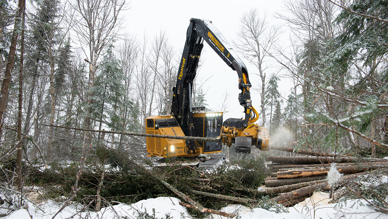 Image of a Mackolines Machines & Hire H822E harvester working in the field