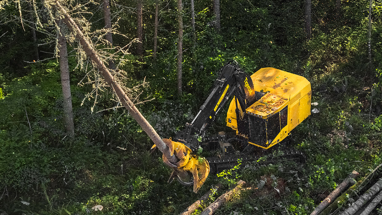 Image of a Mackolines Machines & Hire X870D feller buncher working in the field