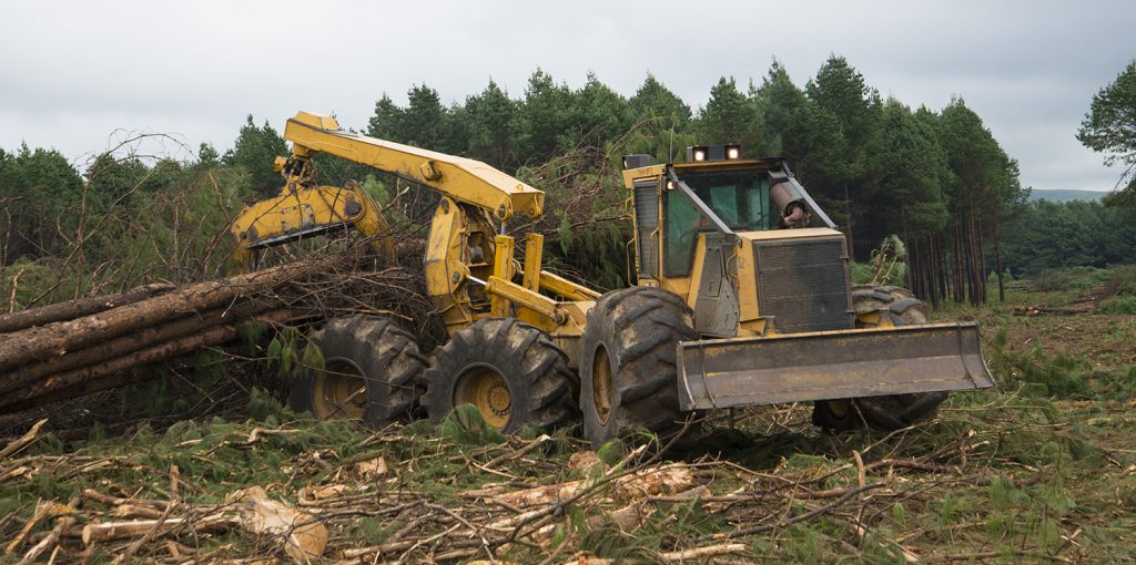 Mackolines Machines & Hire 6-wheel skidder in South Africa. Machine longevity is essential.