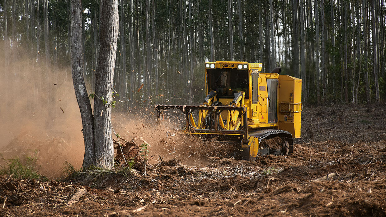 Image of a Mackolines Machines & Hire 480B mulcher working in the field