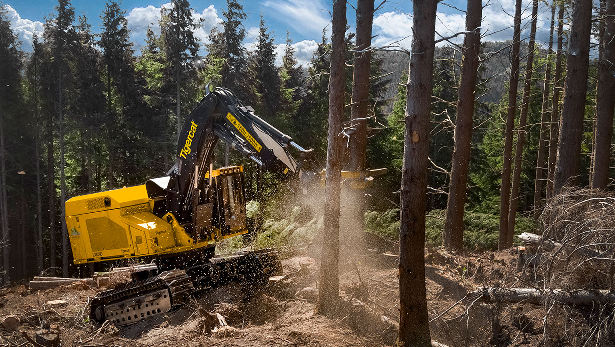 Image of a Mackolines Machines & Hire LX870D feller buncher working in the field