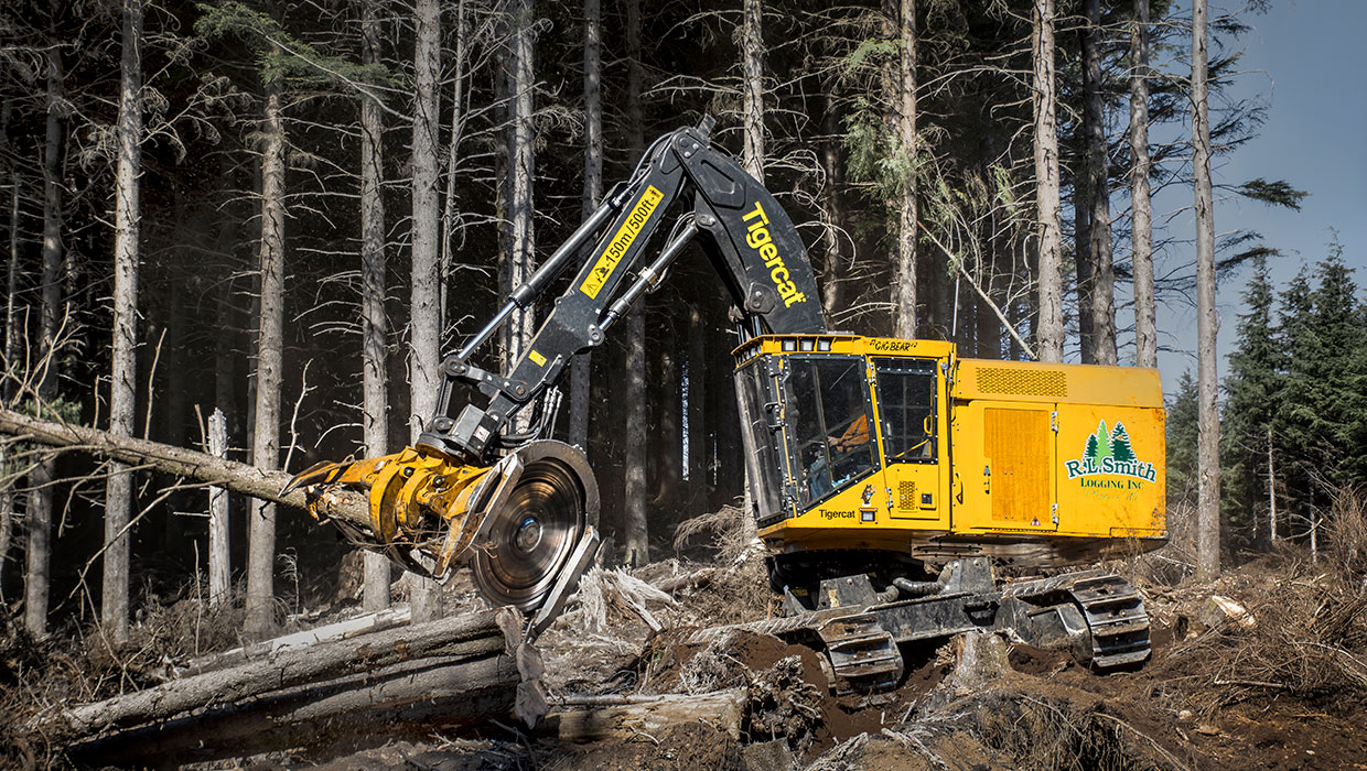 Image of a Mackolines Machines & Hire LX870D feller buncher working in the field