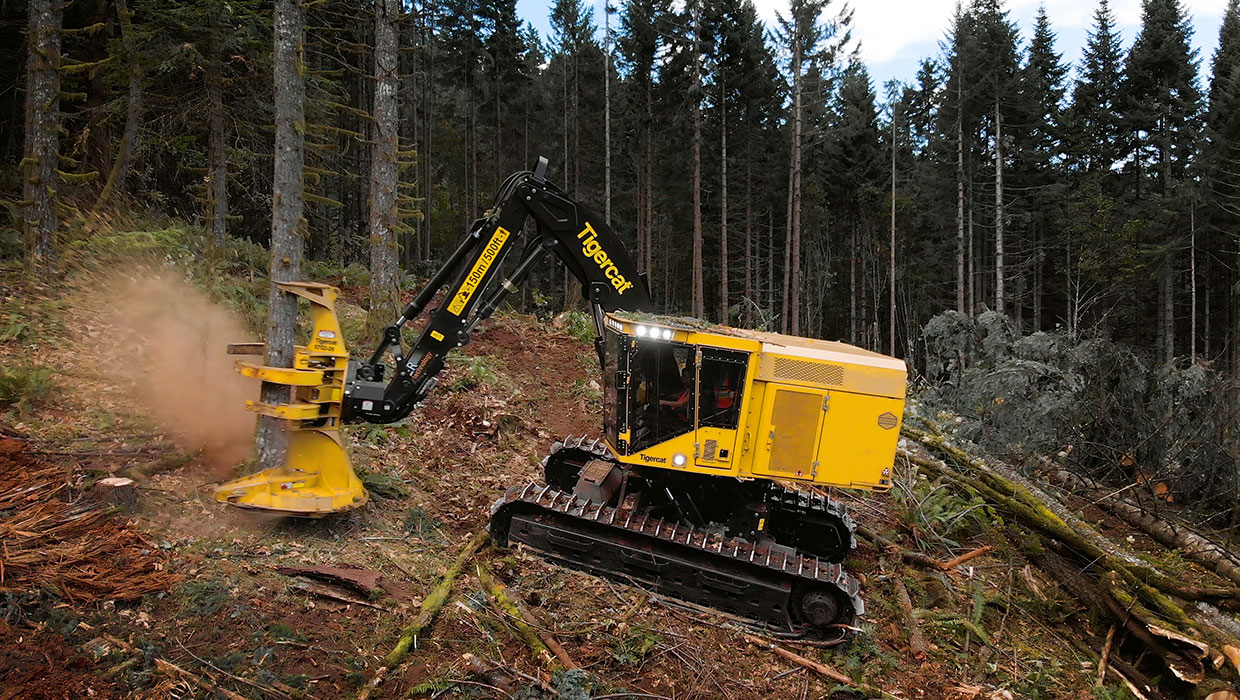 Image of a Mackolines Machines & Hire LX870D feller buncher working in the field