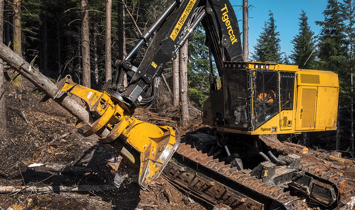 Image of a Mackolines Machines & Hire LX870D feller buncher working in the field