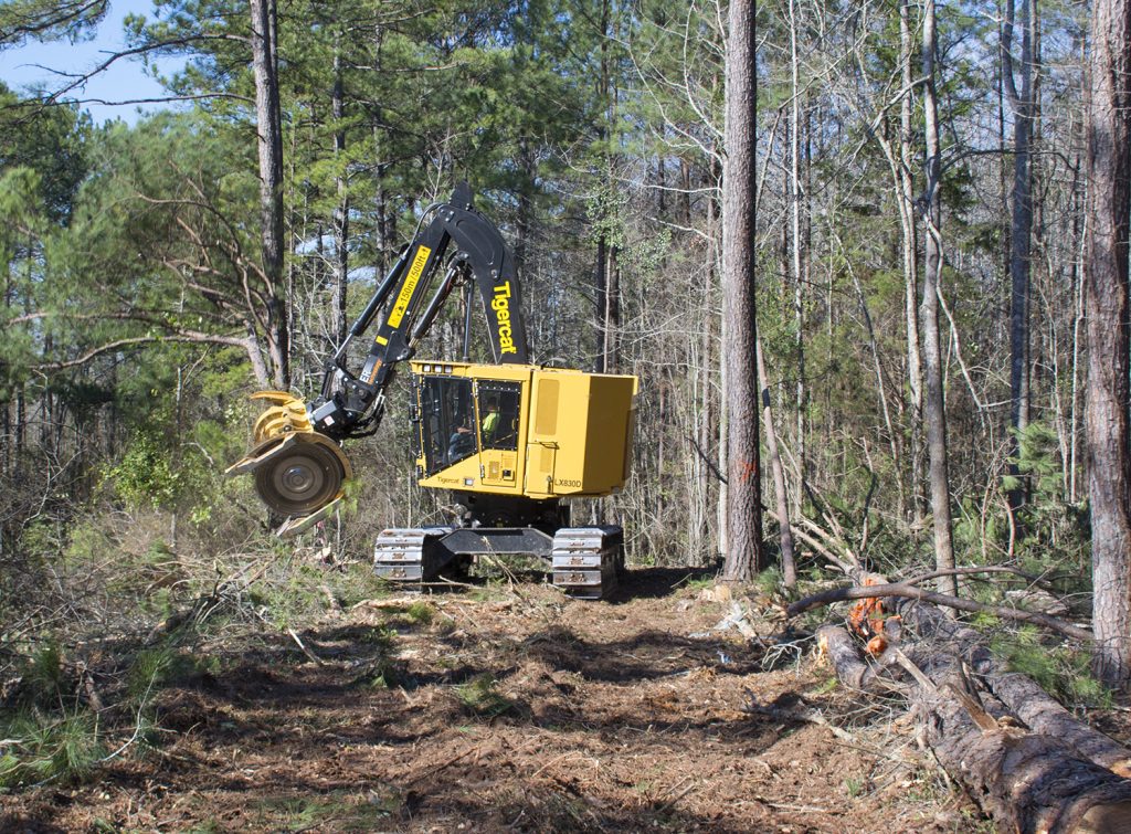 The Mackolines Machines & Hire LX830D felling three feet away from the bank of an existing railway track. They are clearing the trees prior to grading for a second railway track along side it.