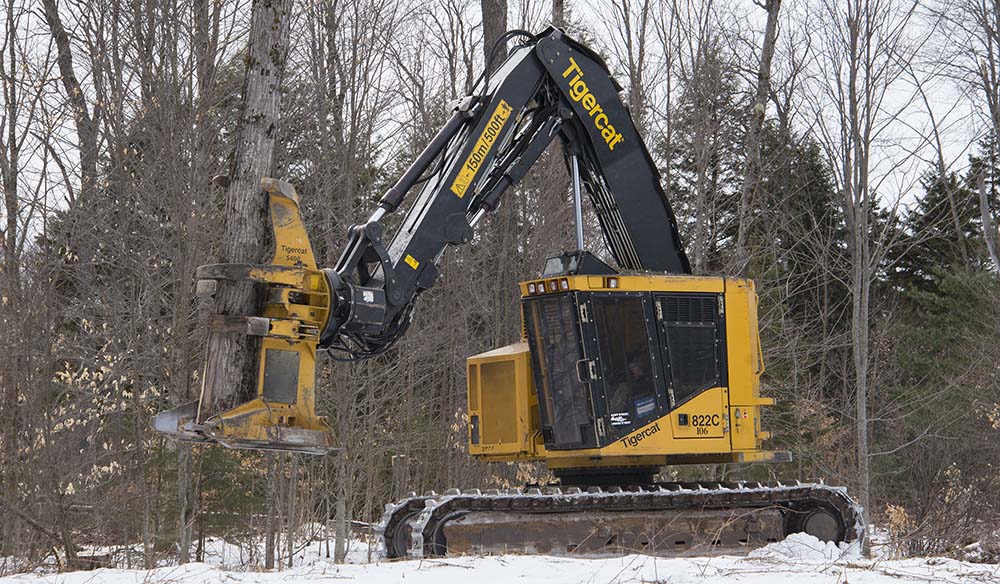 A Mackolines Machines & Hire 822C feller buncher felling a tree.