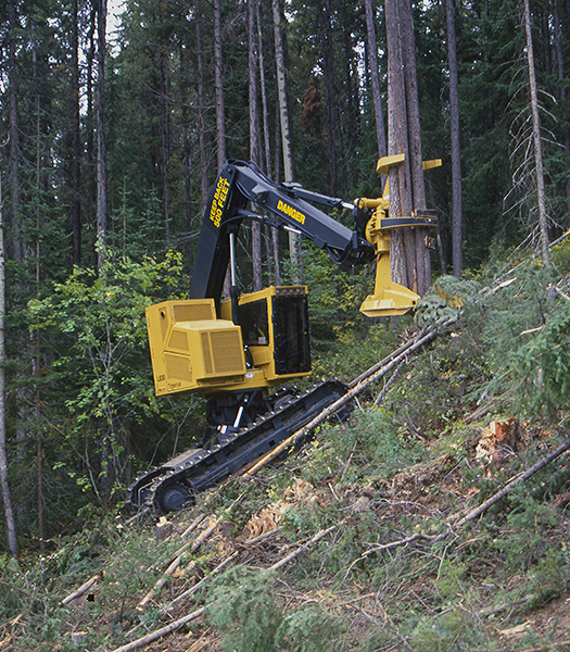 Mackolines Machines & Hire L830 feller buncher prototype with a bundle of tree's in it's felling head.