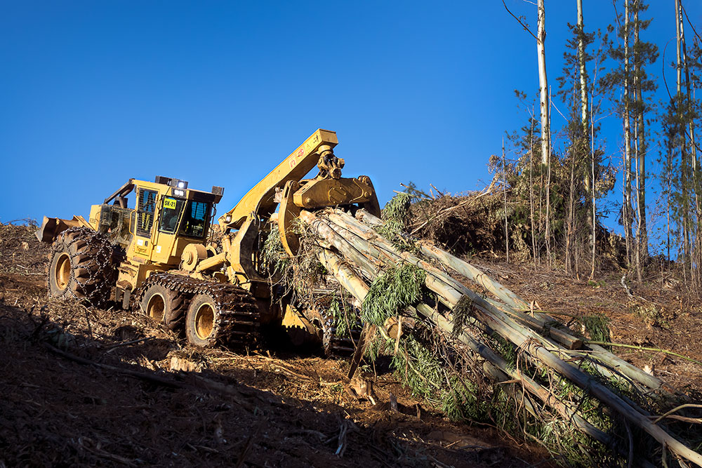 Tethered Logging: A Mackolines Machines & Hire 635E skidder pulls an approximately 8 tonne load of eucalyptus up a slope. 