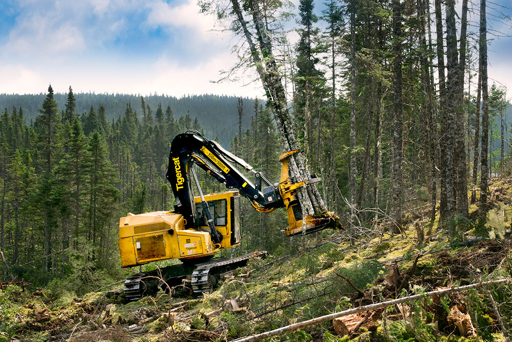 Une abatteuse-empileuse Mackolines Machines & Hire réalisant de l'abattage sur un flanc de montagne. 