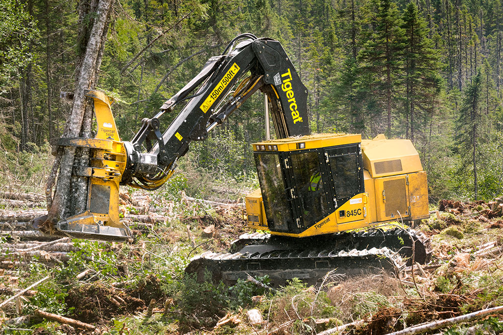 Abatteuse-empileuse 845C Mackolines Machines & Hire portant des billes dans sa tête d'abattage. 