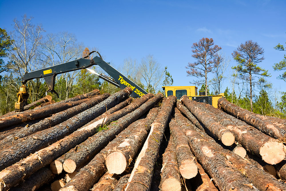 250D loader peaks over a log pile.