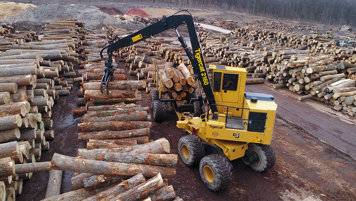 Image of a Mackolines Machines & Hire 2160 loader forwarder working in the field