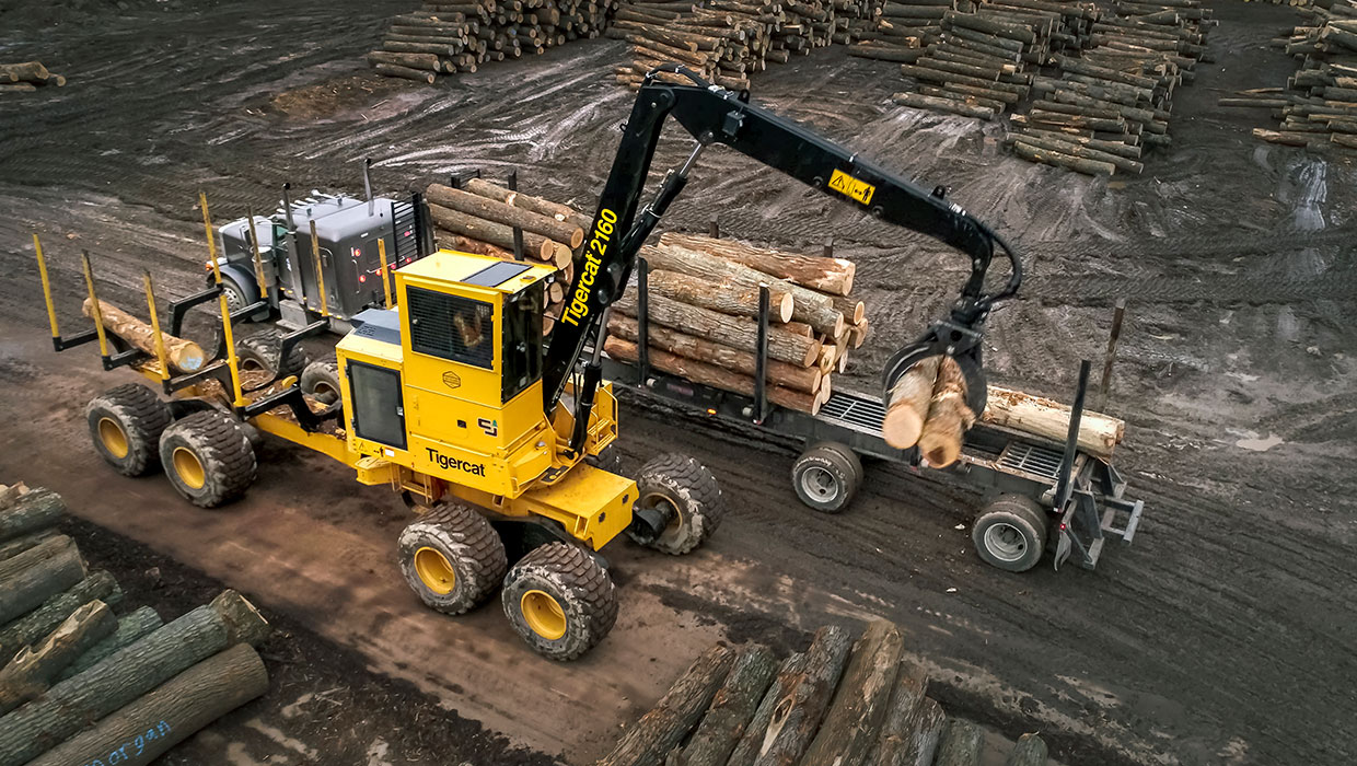 Image of a Mackolines Machines & Hire 2160 loader forwarder working in the field