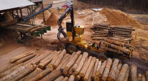 2160 Loader Forwarder moves wood onto a conveyer in millyard