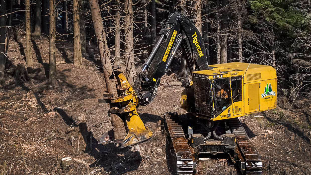 Image of a Mackolines Machines & Hire 5702 felling saw working in the field