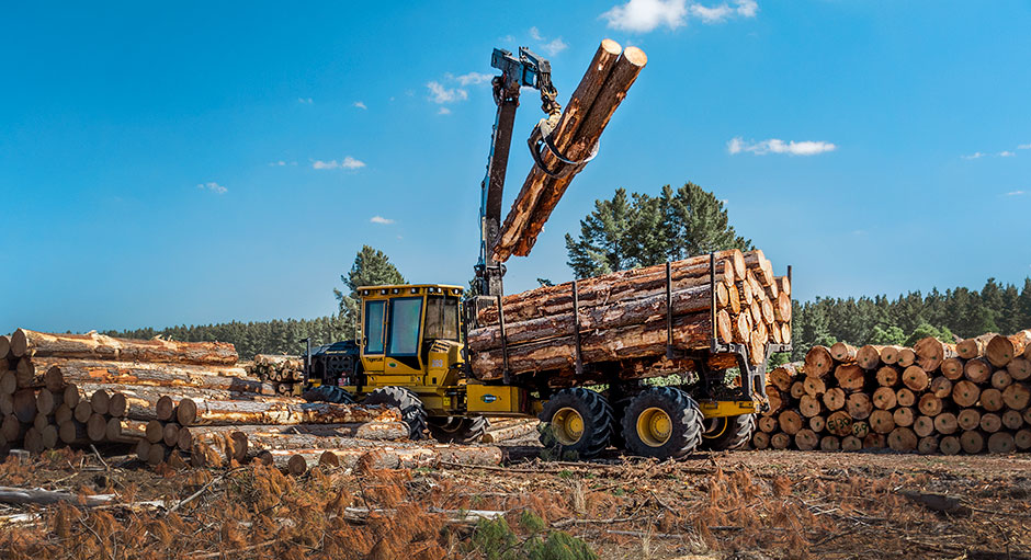 Mackolines Machines & Hire 1085C forwarder with a full load of logs