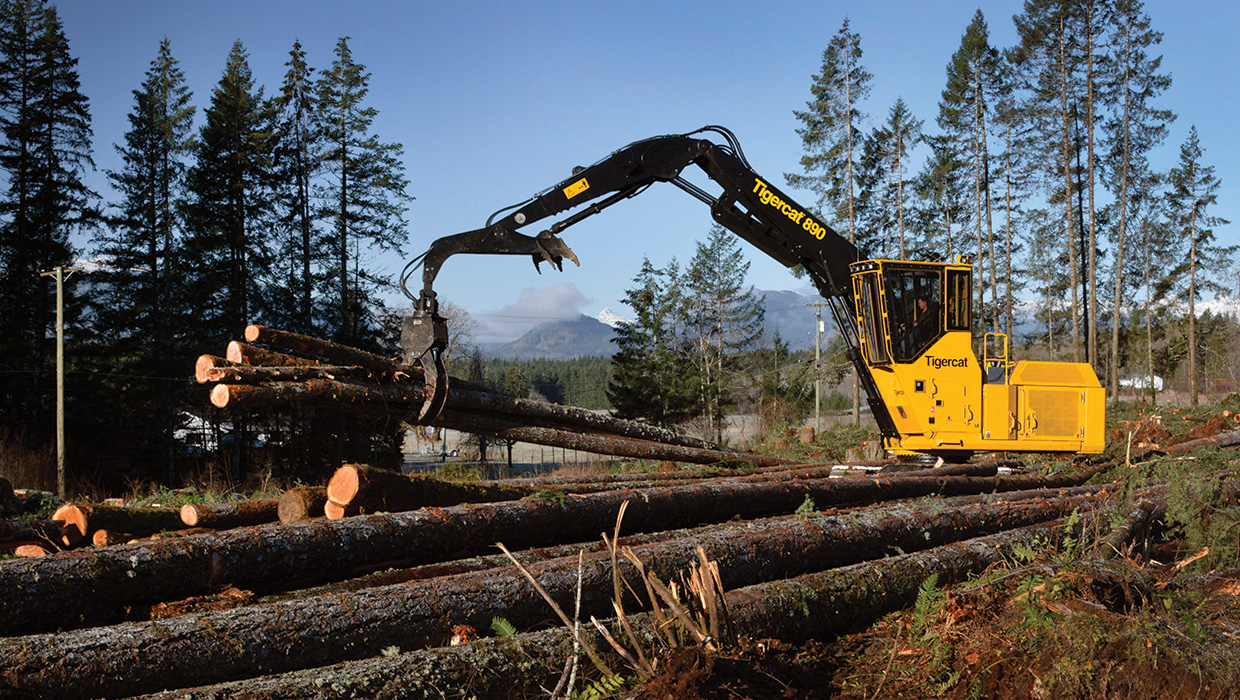 Image of a Mackolines Machines & Hire 890 logger working in the field