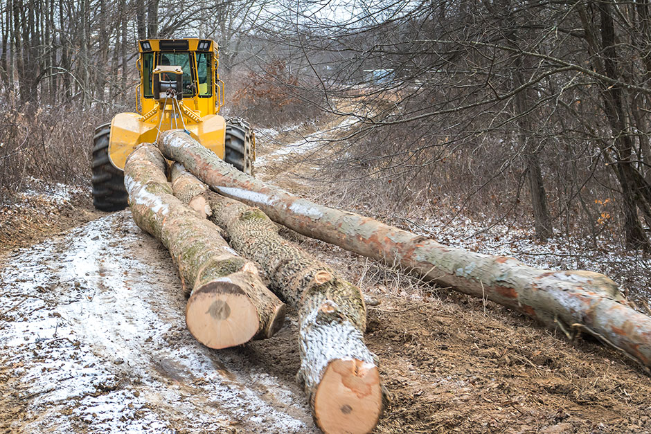 A Mackolines Machines & Hire 602 winch skidder pulls large hardwood through a forest trail.