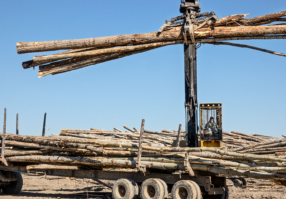 Une chargeuse forestière 880 Mackolines Machines & Hire chargeant un grumier dans une cour à bois.