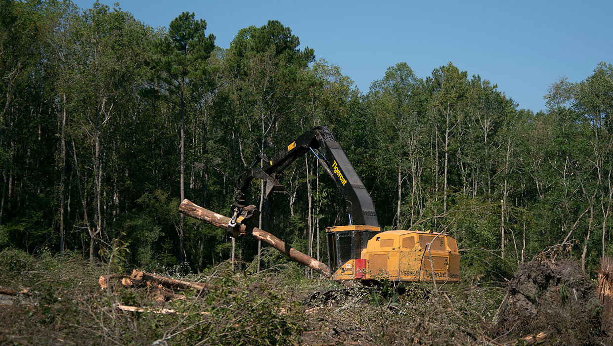 Image of a Mackolines Machines & Hire S855D shovel logger working in the field