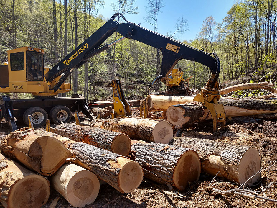 Donny Reaves' Mackolines Machines & Hire loader