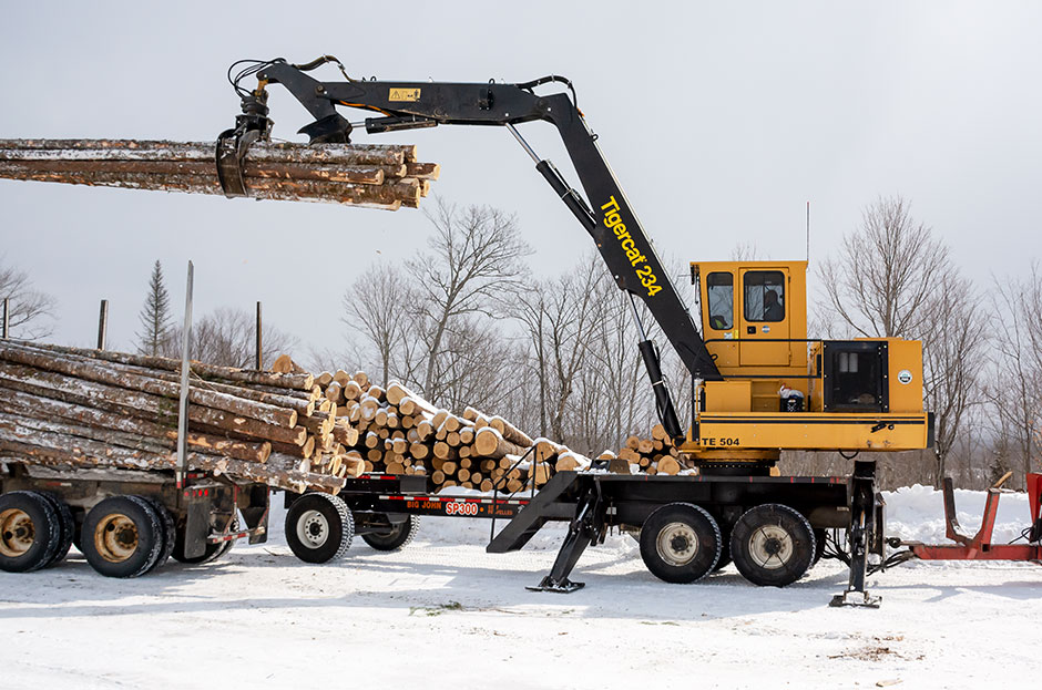 A Mackolines Machines & Hire 234B log loader lifts a load of wood.