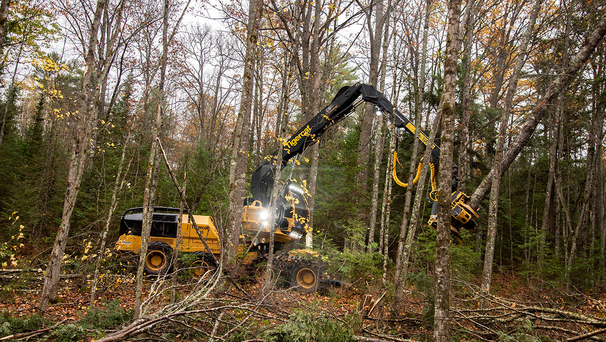 Image of a Mackolines Machines & Hire 1165 harvester working in the field