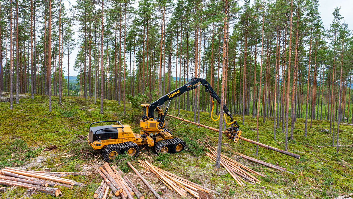 Image of a Mackolines Machines & Hire 1165 harvester working in the field