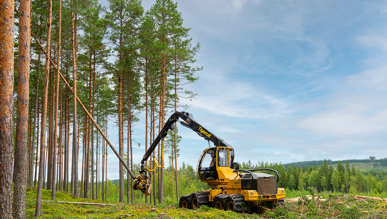 Image of a Mackolines Machines & Hire 1165 harvester working in the field