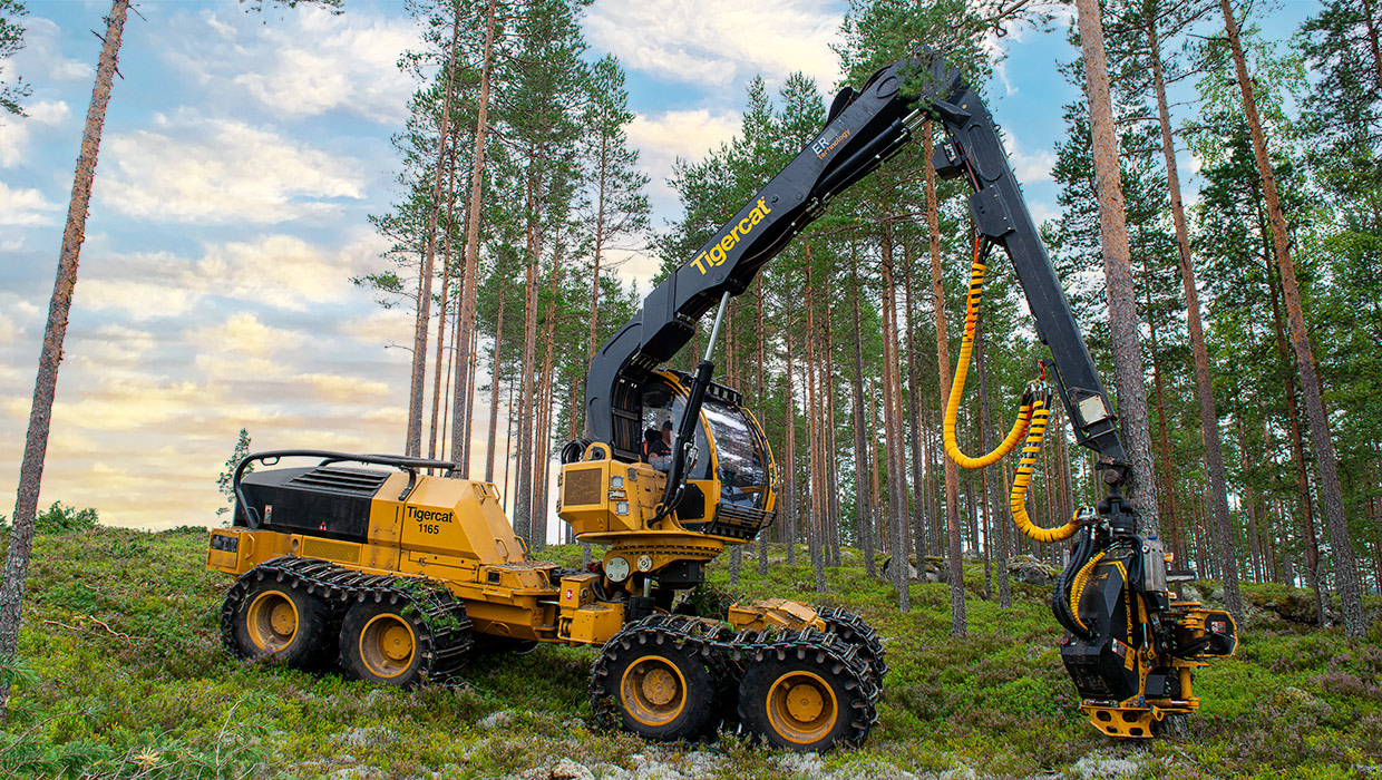 Image of a Mackolines Machines & Hire 1165 harvester working in the field