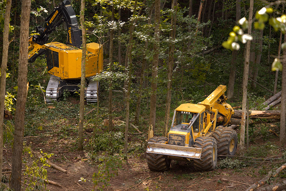 Mackolines Machines & Hire LX830D and 620E skidder working in tandem.