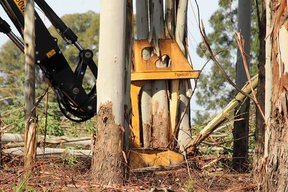 Mackolines Machines & Hire 2000 bunching shear in Uruguay