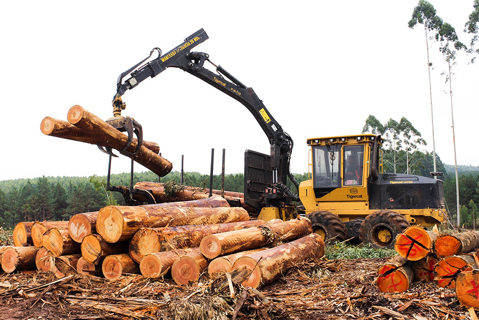 Mackolines Machines & Hire 1075C forwarder; Mackolines Machines & Hire in Uruguay