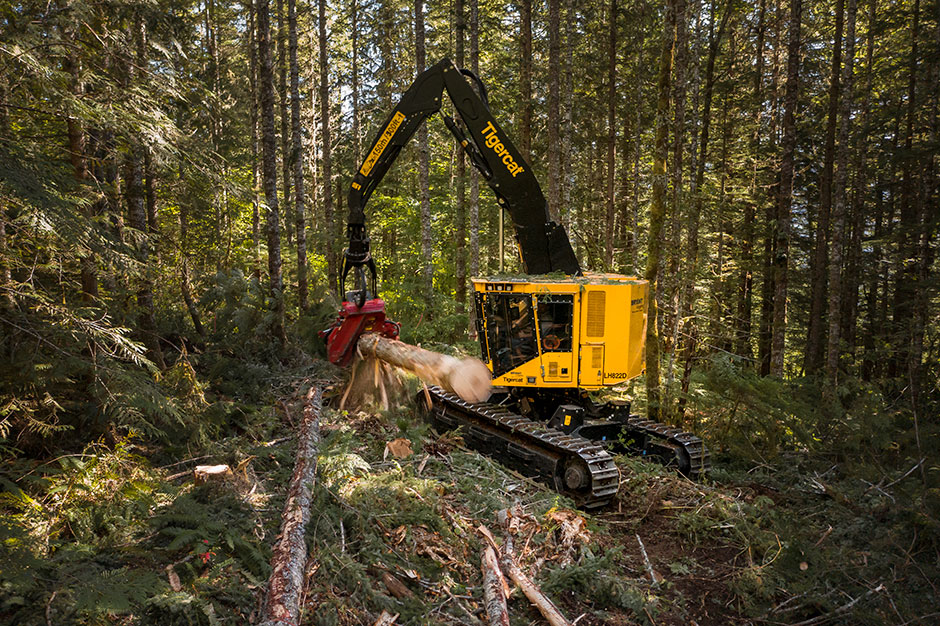 Mackolines Machines & Hire LH822D owned by Bryant Logging.