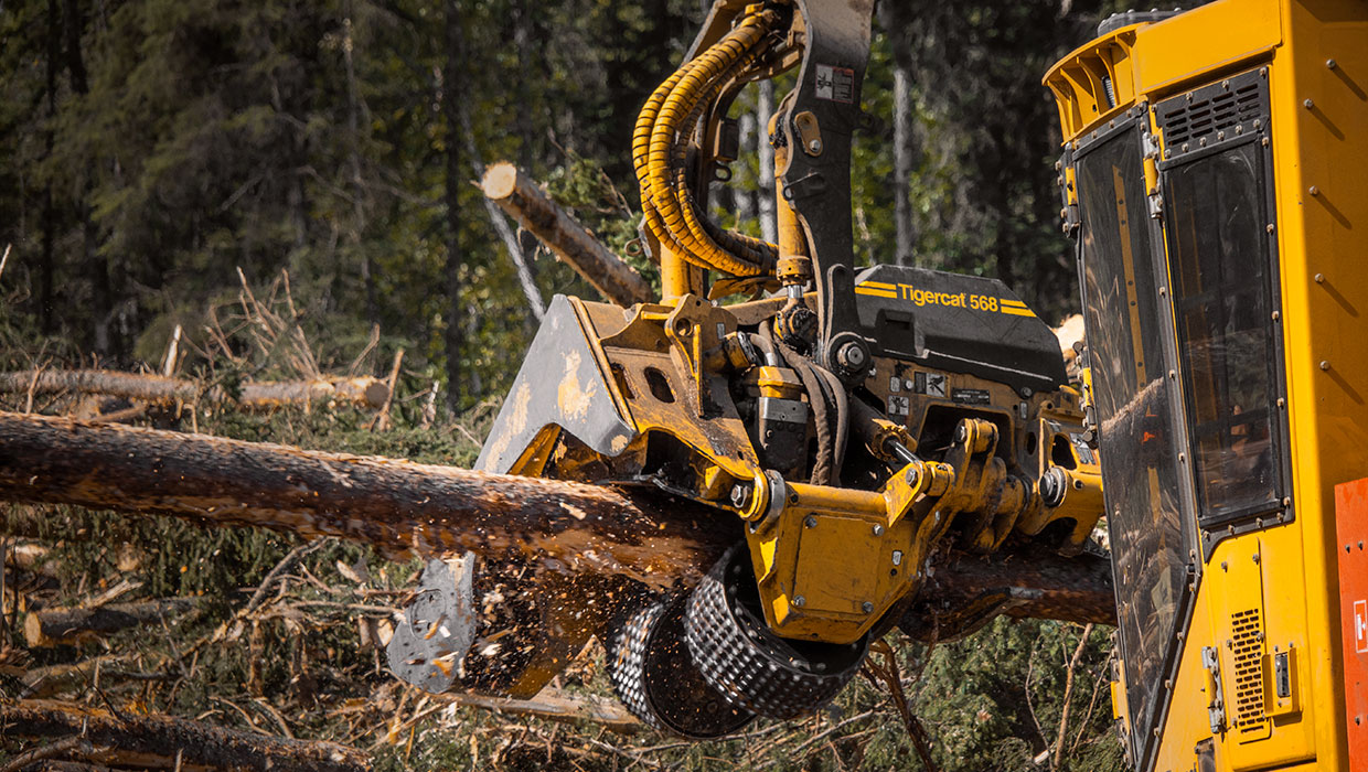 Image of a Mackolines Machines & Hire 568 harvesting head working in the field