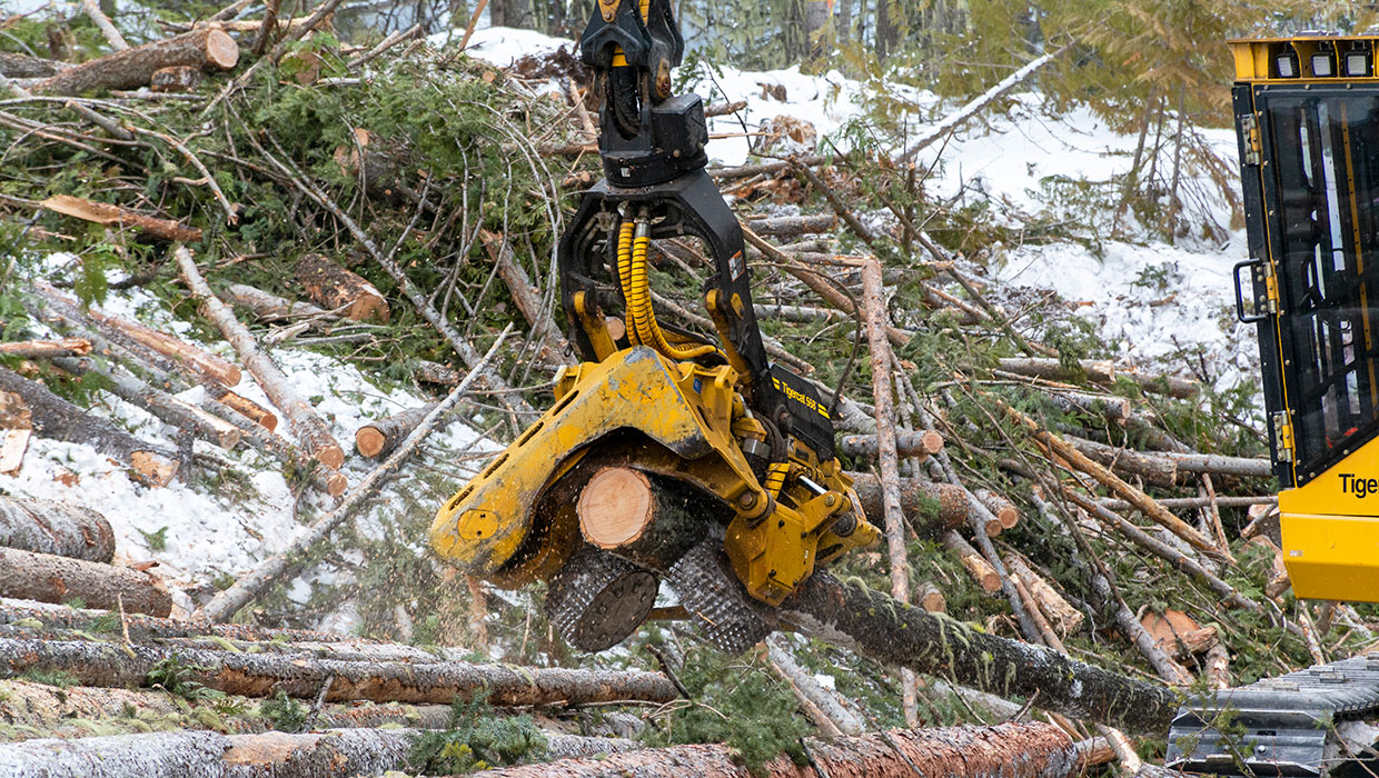 Image of a Mackolines Machines & Hire 568 processing head working in the field