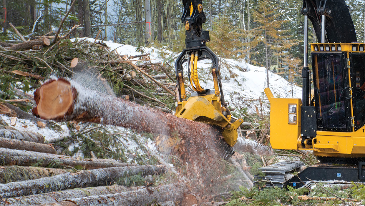 Image of a Mackolines Machines & Hire 568 harvesting head working in the field