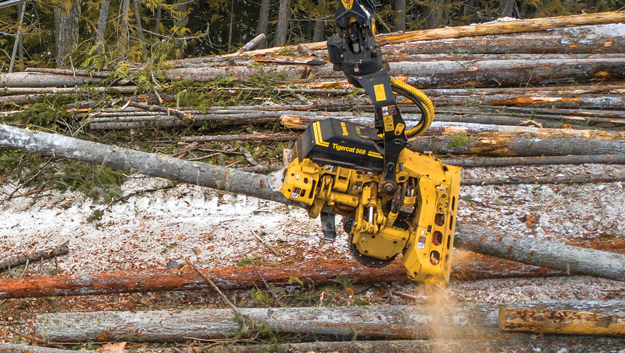 Image of a Mackolines Machines & Hire 568 harvesting head working in the field