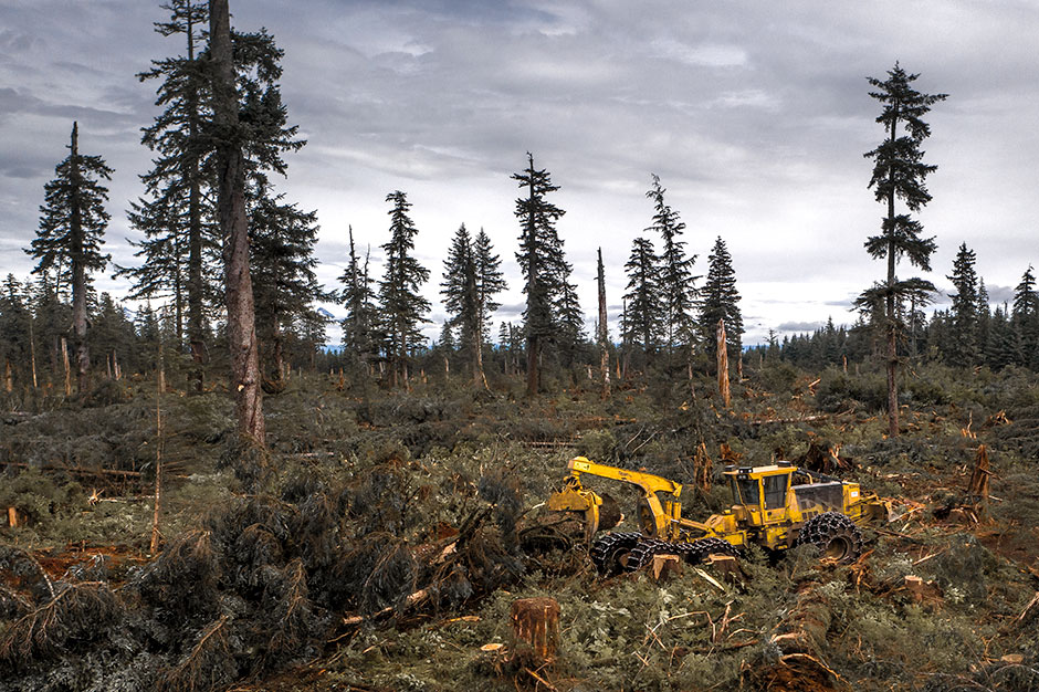 Mackolines Machines & Hire 635G skidder operating in Alaskan forest.