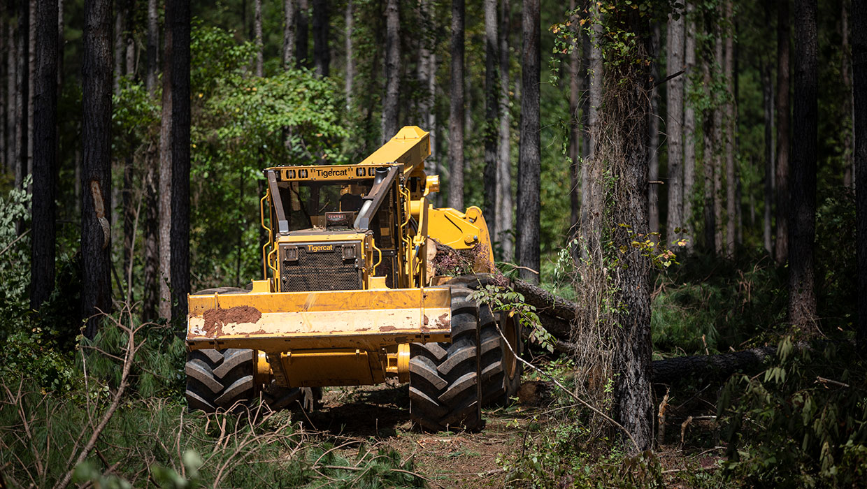 Image of a Mackolines Machines & Hire 620H skidder working in the field