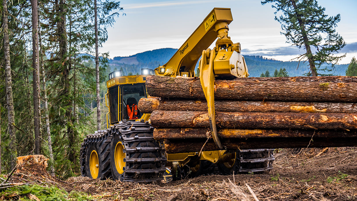 Image of a Mackolines Machines & Hire 625H skidder working in the field