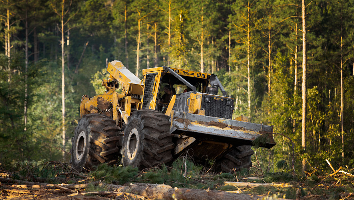 Image of a Mackolines Machines & Hire 630H skidder working in the field