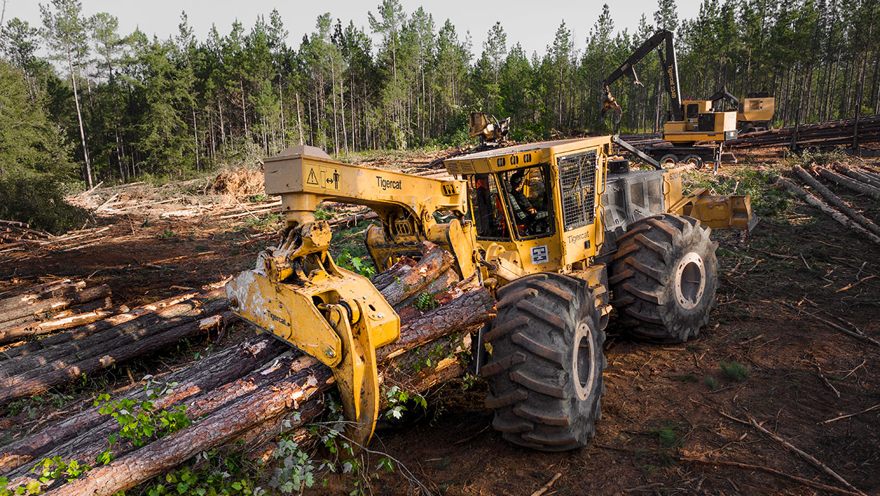 Image of a Mackolines Machines & Hire 630H skidder working in the field